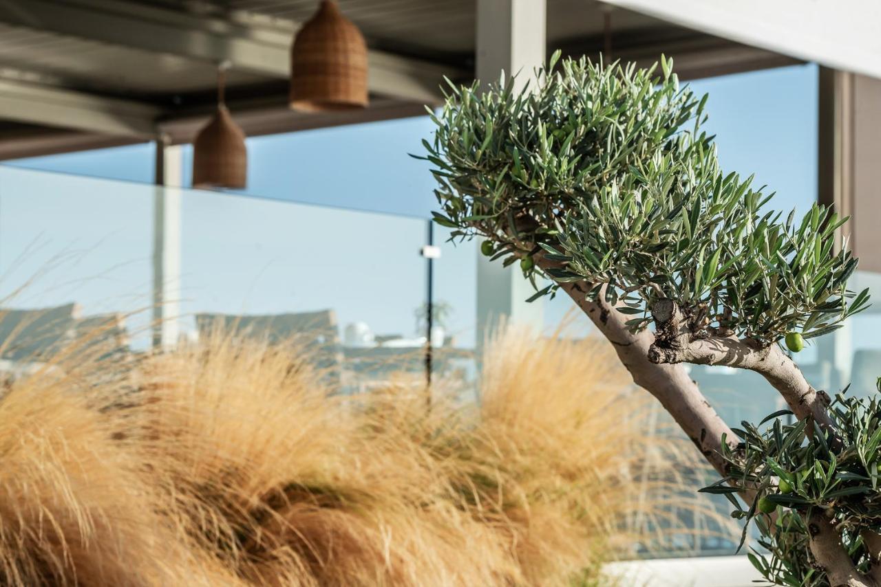 Aliv stone suites&spa Agios Nikolaos  Extérieur photo